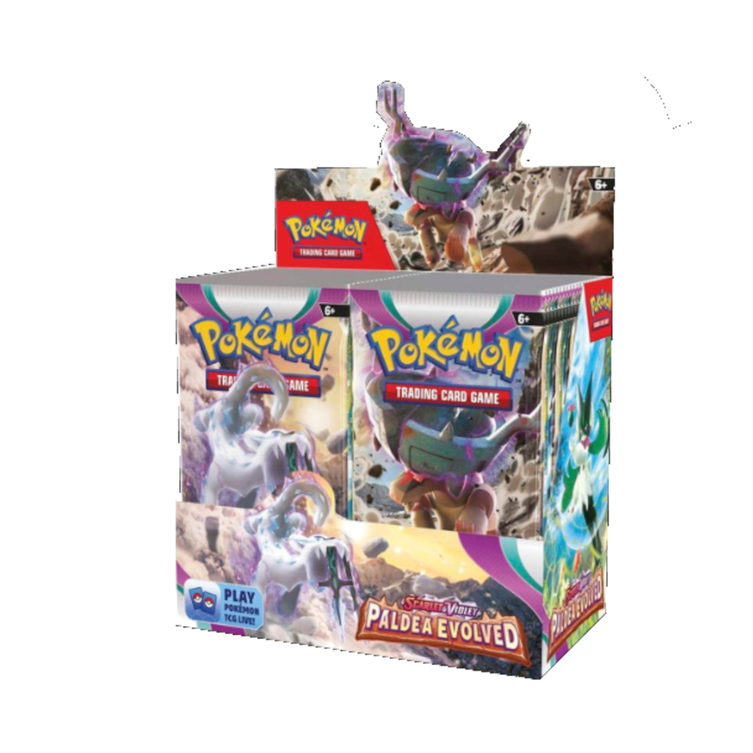 Paldea Evolved Booster Display