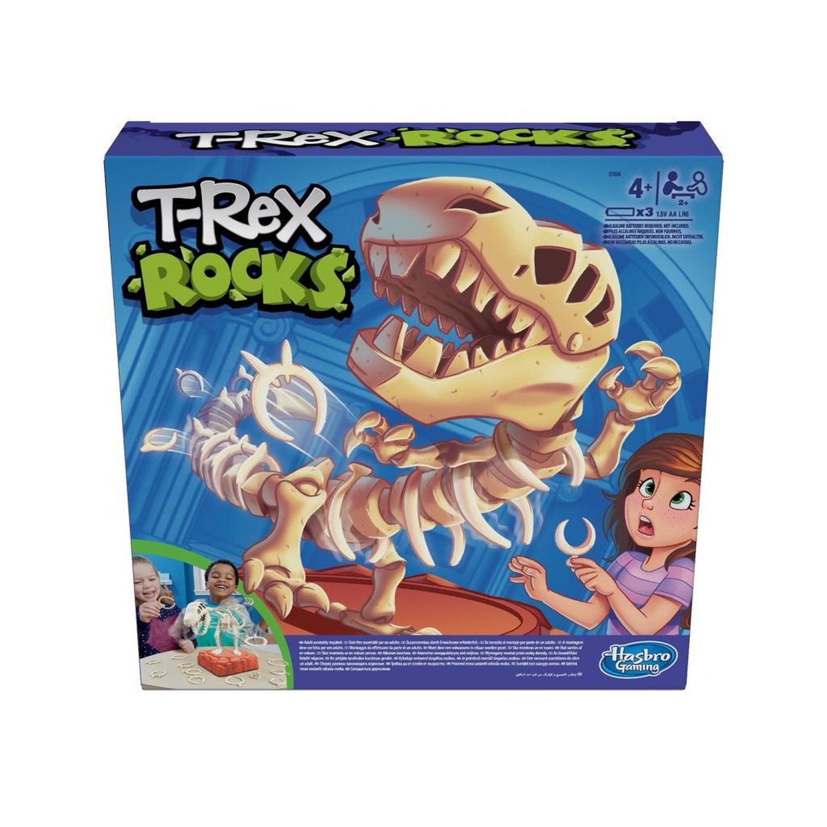 T-Rex Rocks
