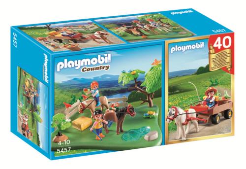 Jubileum Compact Set Ponyweide met hooiwagen /  CompactSet anniversaire "Cavaliers avec poneys et carriole"