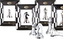 Cast Chess Puzzle - Pawn - Silver