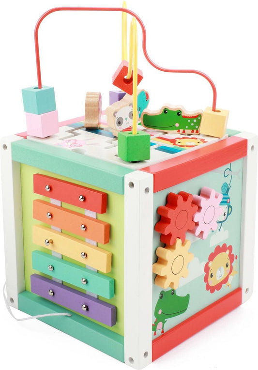 Fisher Price 5In1 Houten Activiteitenkubus