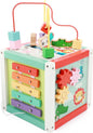 Fisher Price 5In1 Houten Activiteitenkubus