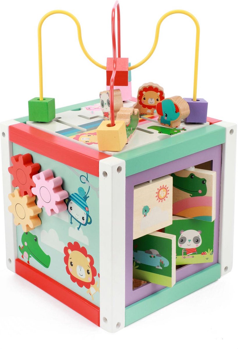 Fisher Price 5In1 Houten Activiteitenkubus