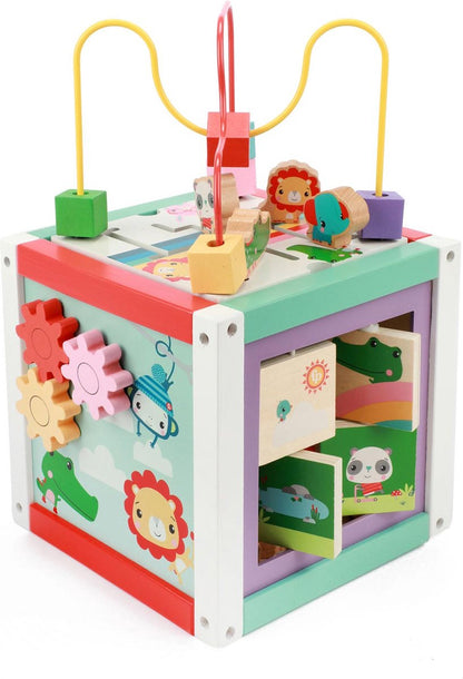 Fisher Price 5In1 Houten Activiteitenkubus