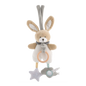Sweet Travel musical bunny