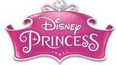 Disney Princess Koets Naar Kasteel