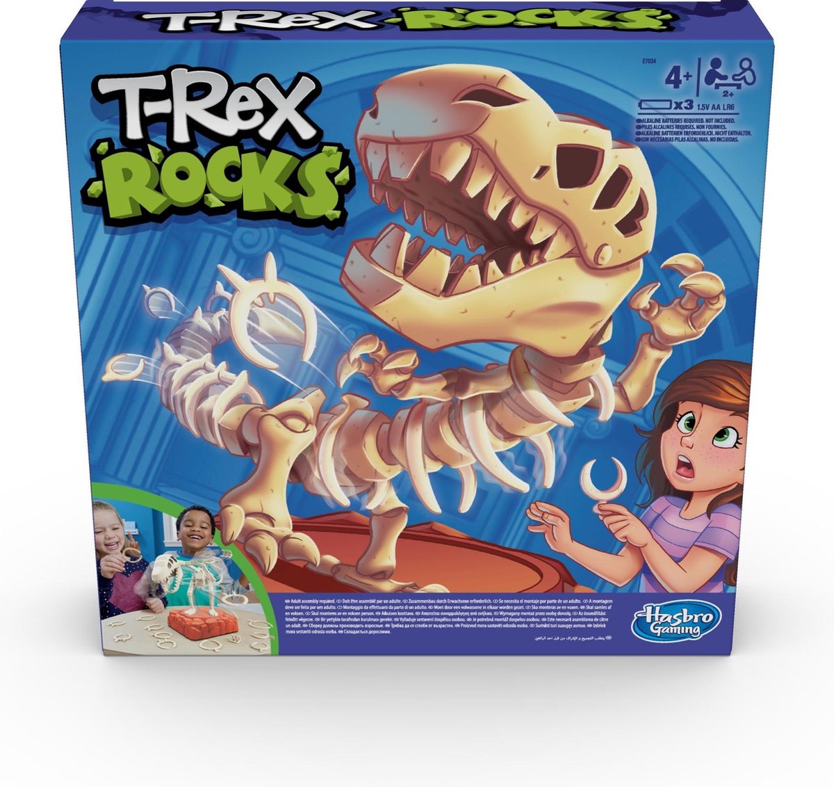 T-Rex Rocks