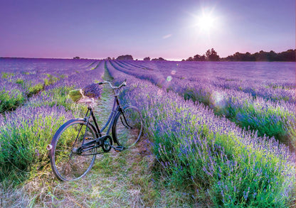 Educa puzzel fiets lavendelveld 1000 stukjes voor volwassenen.