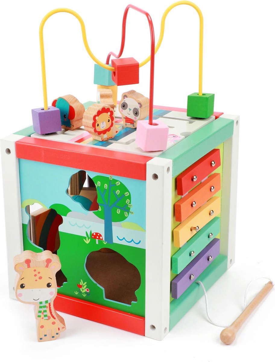 Fisher Price 5In1 Houten Activiteitenkubus