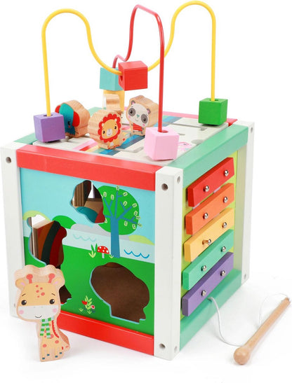Fisher Price 5In1 Houten Activiteitenkubus