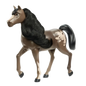 Mustang Mare